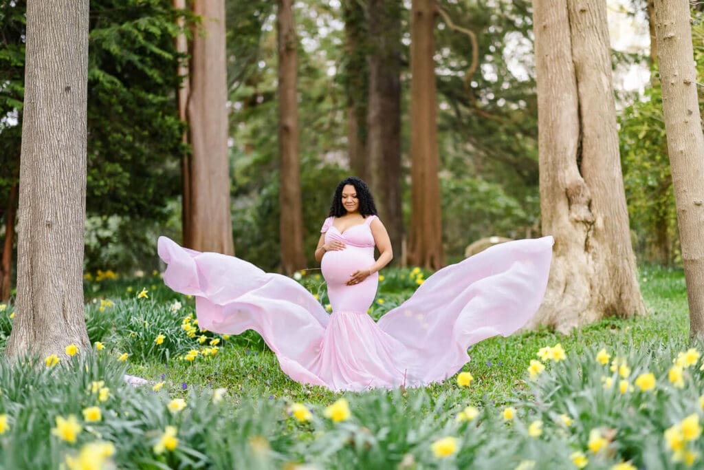 Flowing pink maternity gown billows through a field of blooming daffodils during a maternity photography session in Bristol, Rhode Island.