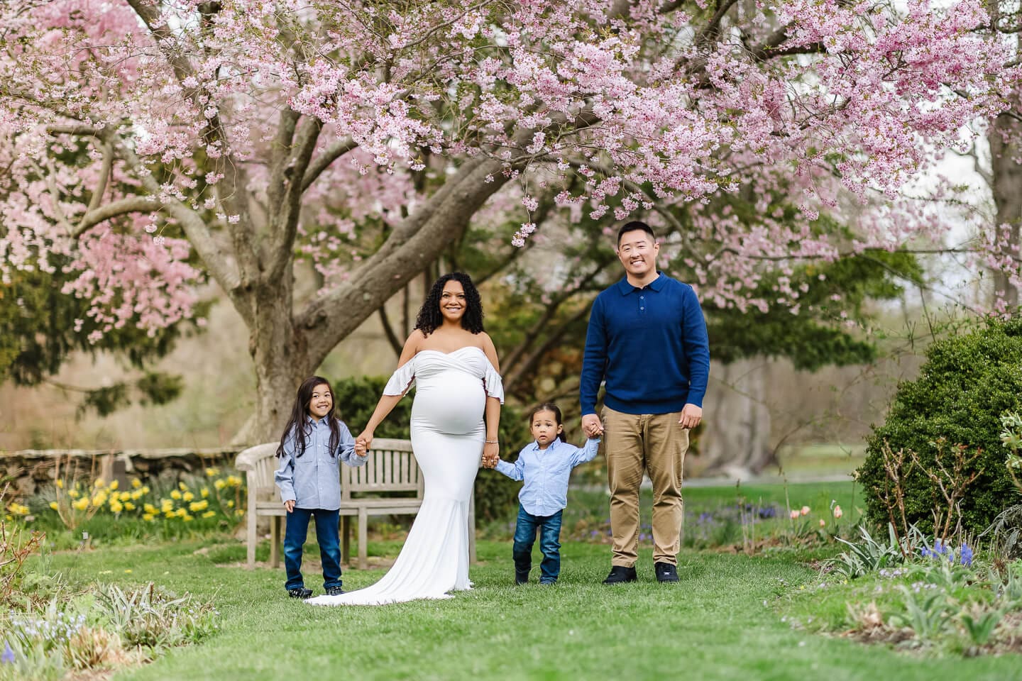 Family of four posing beneath blooming cherry blossom trees during a maternity photography session in Bristol, Rhode Island.