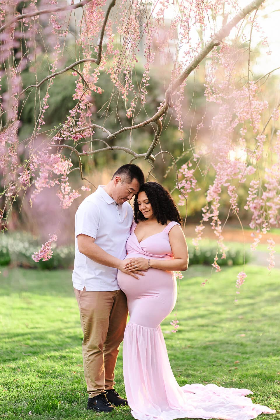 Expecting parents embracing beneath blooming cherry blossom branches during a maternity photography session in Bristol, Rhode Island.