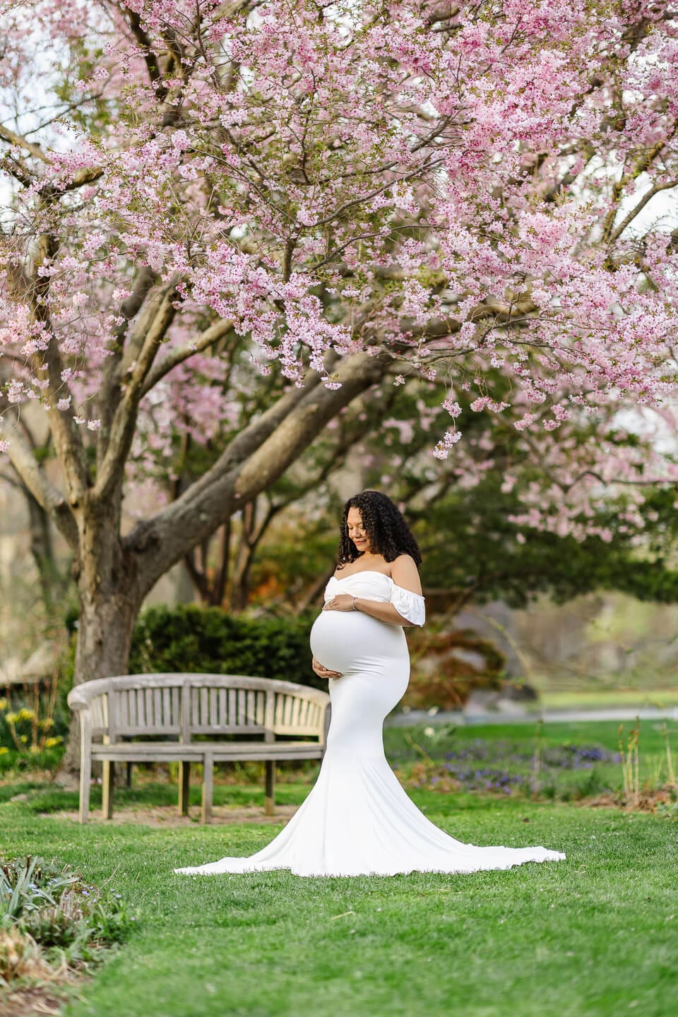 Expecting mother in a white maternity gown standing beneath blooming cherry blossom trees during a maternity photography session in Bristol, Rhode Island.